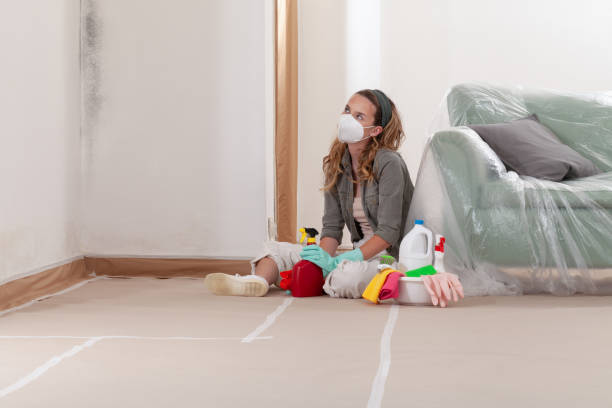 Reliable Mold Cleanup contractor in Keller, TX by Cheap Mold Removal